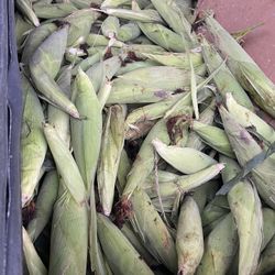 Elote