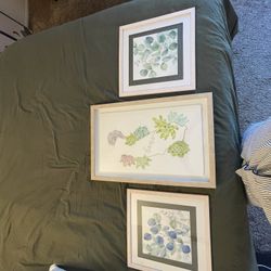 Decor