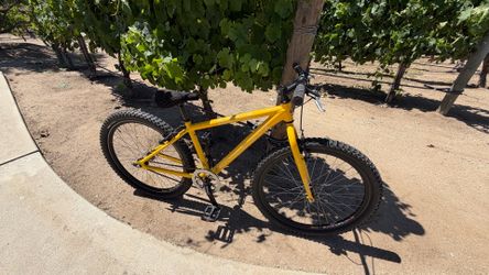 Single Gear Junior  Mountain Bike