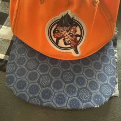 Dragon ball z hat and vhs