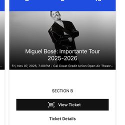 MIGUEL BOSE CONCERT