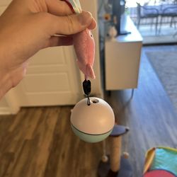 Cat Toy Electric 