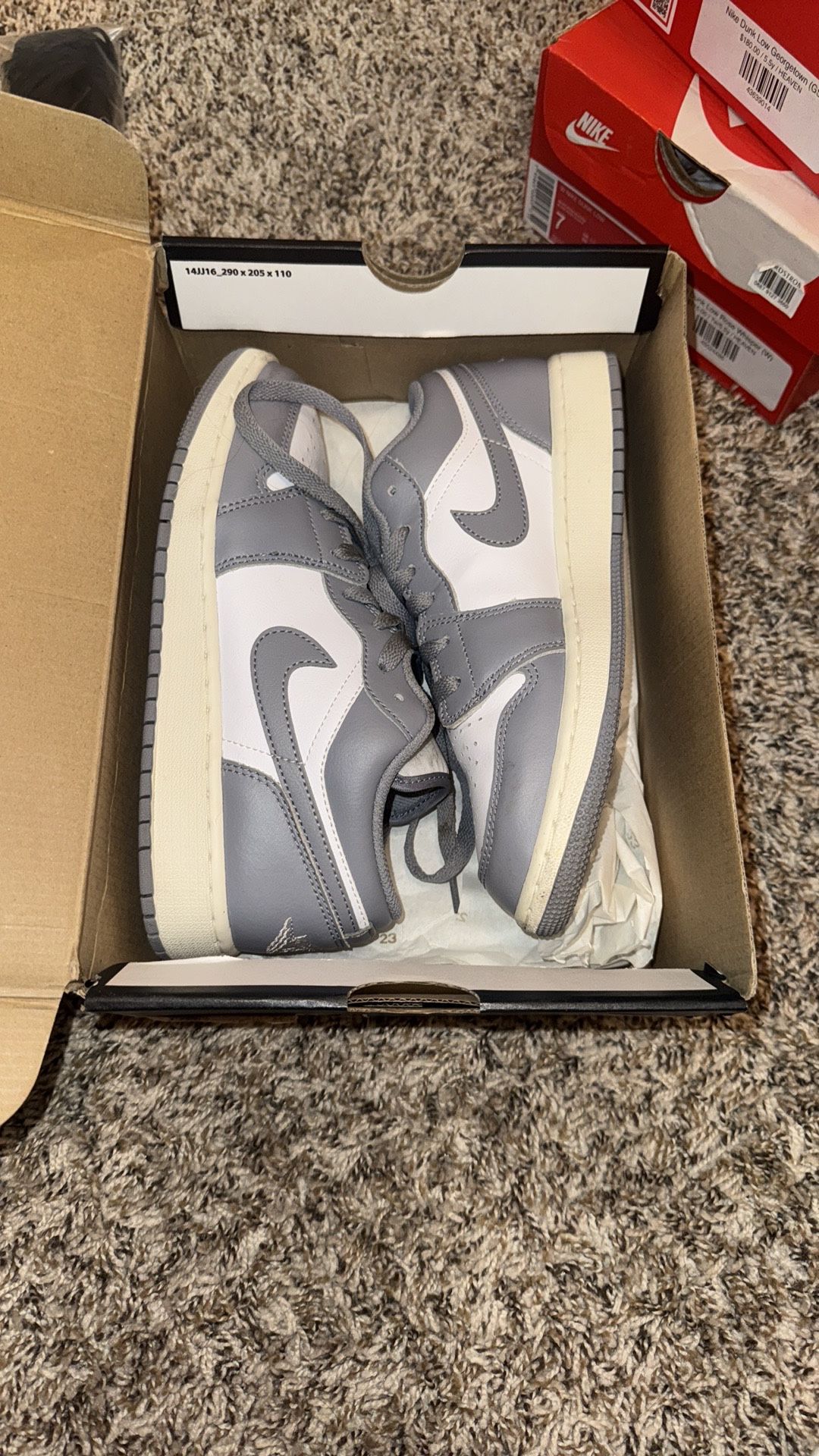 women’s shoes