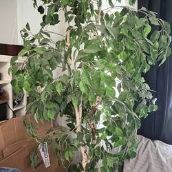 Fake Indoor Tree