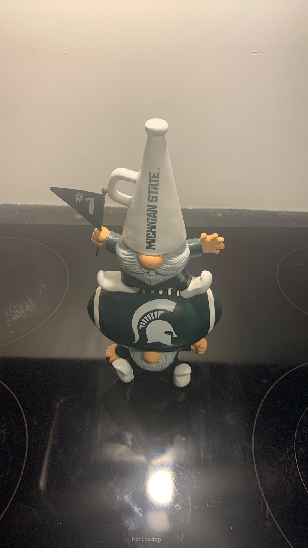 Michigan State Gnome