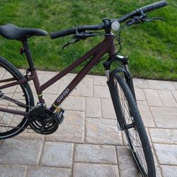 REI co-op Cycles CTY XS Bike