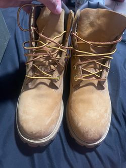 5.5y Timberland
