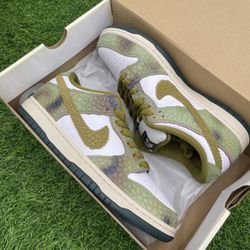 New Nike Dunk Low SB “Chameleon” Size 9.5M