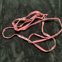 Extra Small Leash and harness 