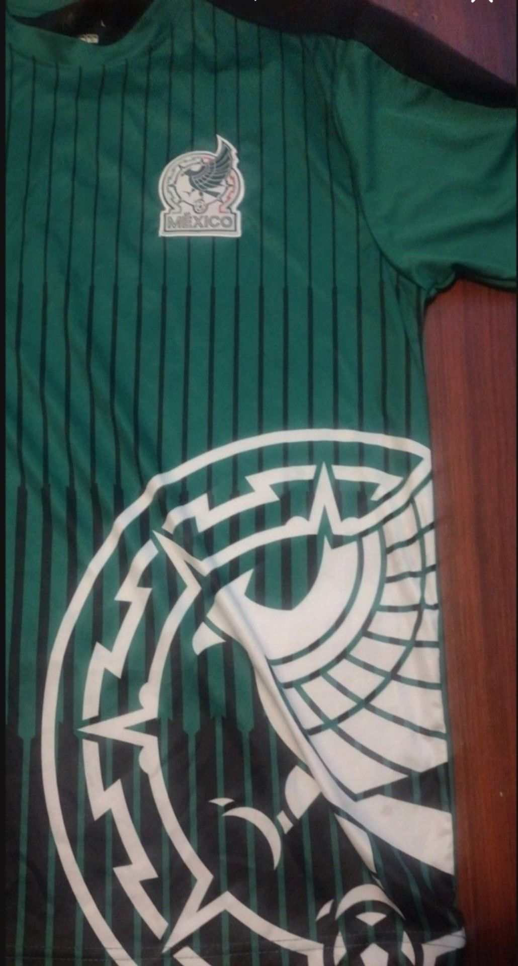 Mexico seleccion mexicana Jersey Size L Adults