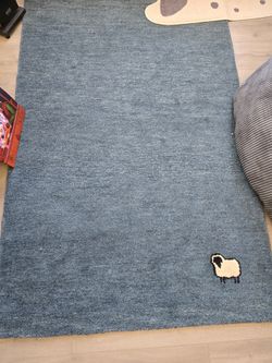 All Modern Rug 4x6 Lightly Used