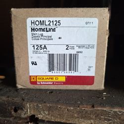 125A Main Lug 2p Square D Homeline 