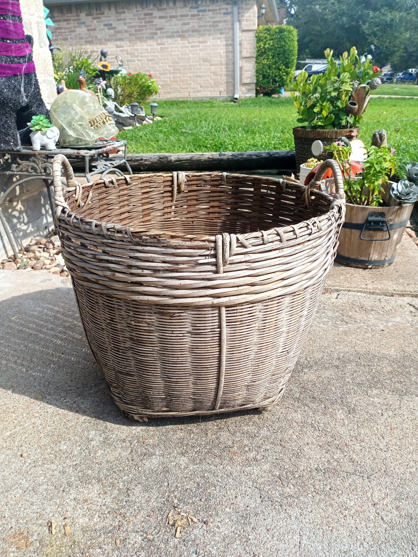 Wicker Pot with Handles