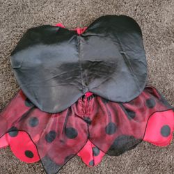 3-6mo Ladybug Costume