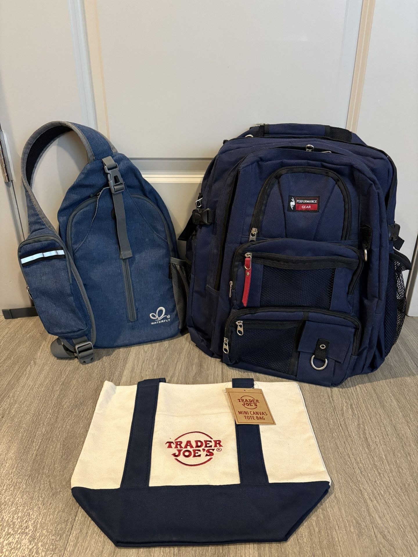 Travel and Small Backpack, Trader Joe’s Mini Canvas Bag- $40 (Gilbert)