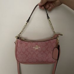 Pink Bag