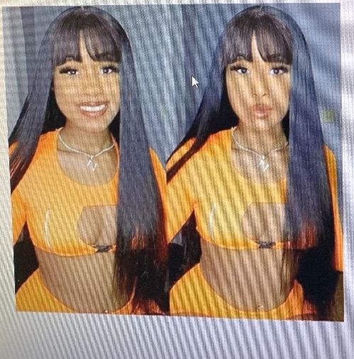 Human Hair Wigs