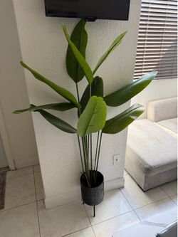 Fake Plant