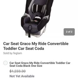 Graco Car Seat