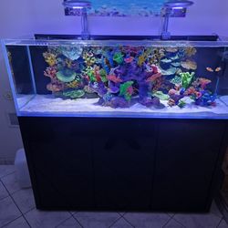 125 Gallon Cade Aquarium