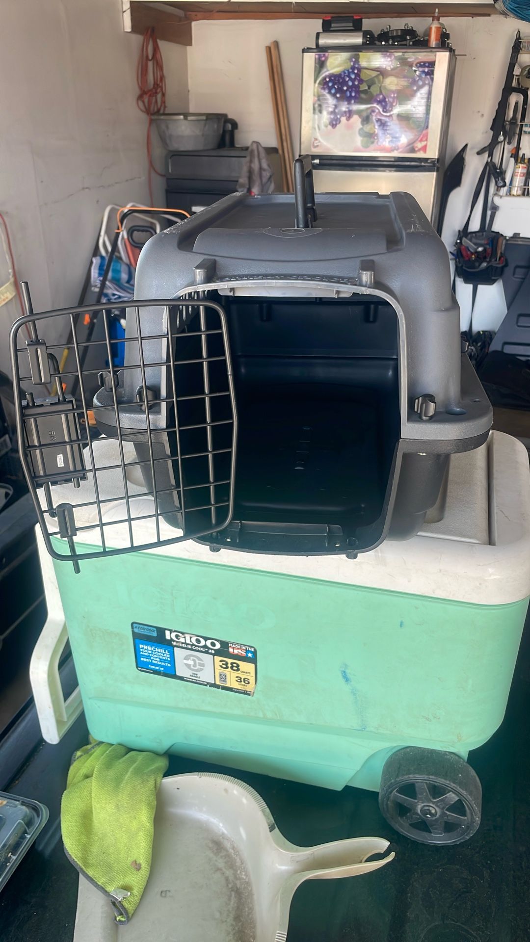 Cat Carrier