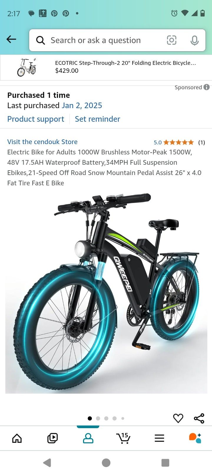 Snow Electric Bike