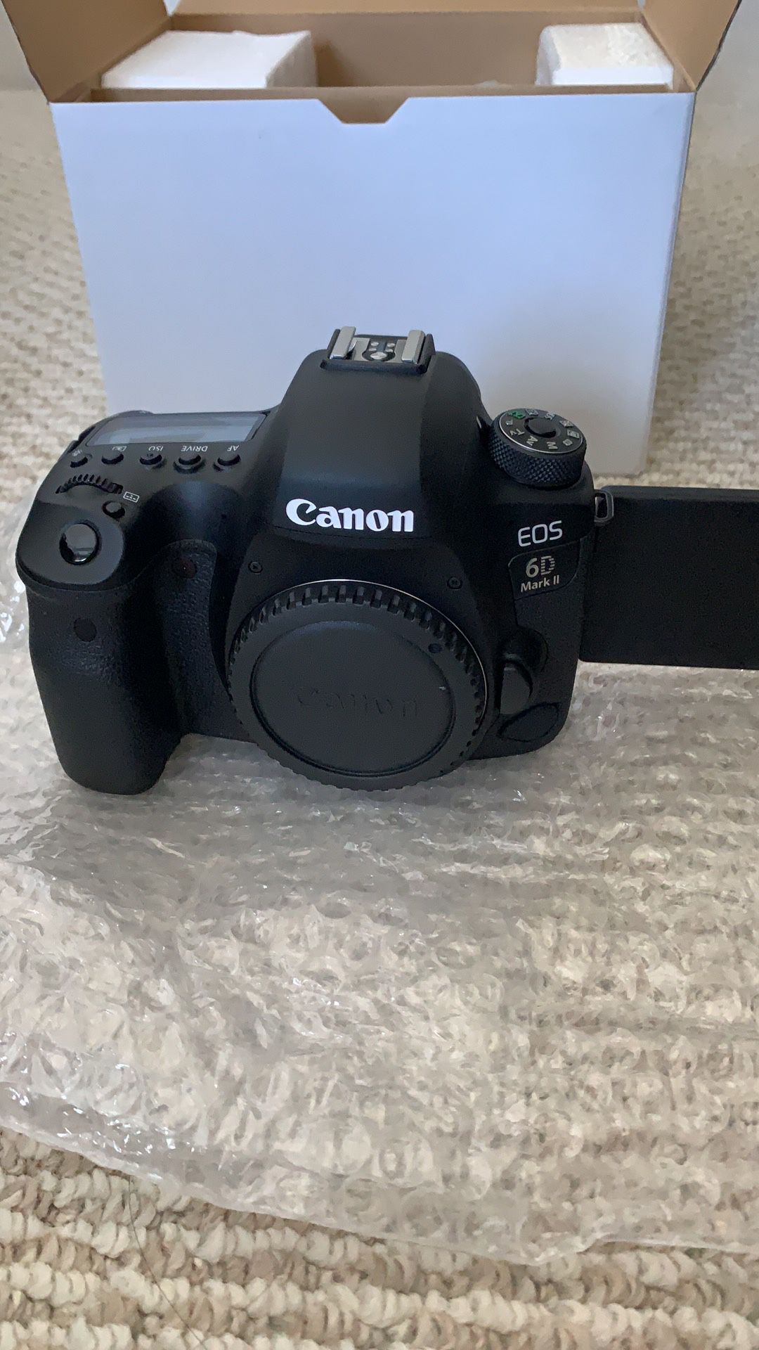 Canon 6d mark II with 24-105 L