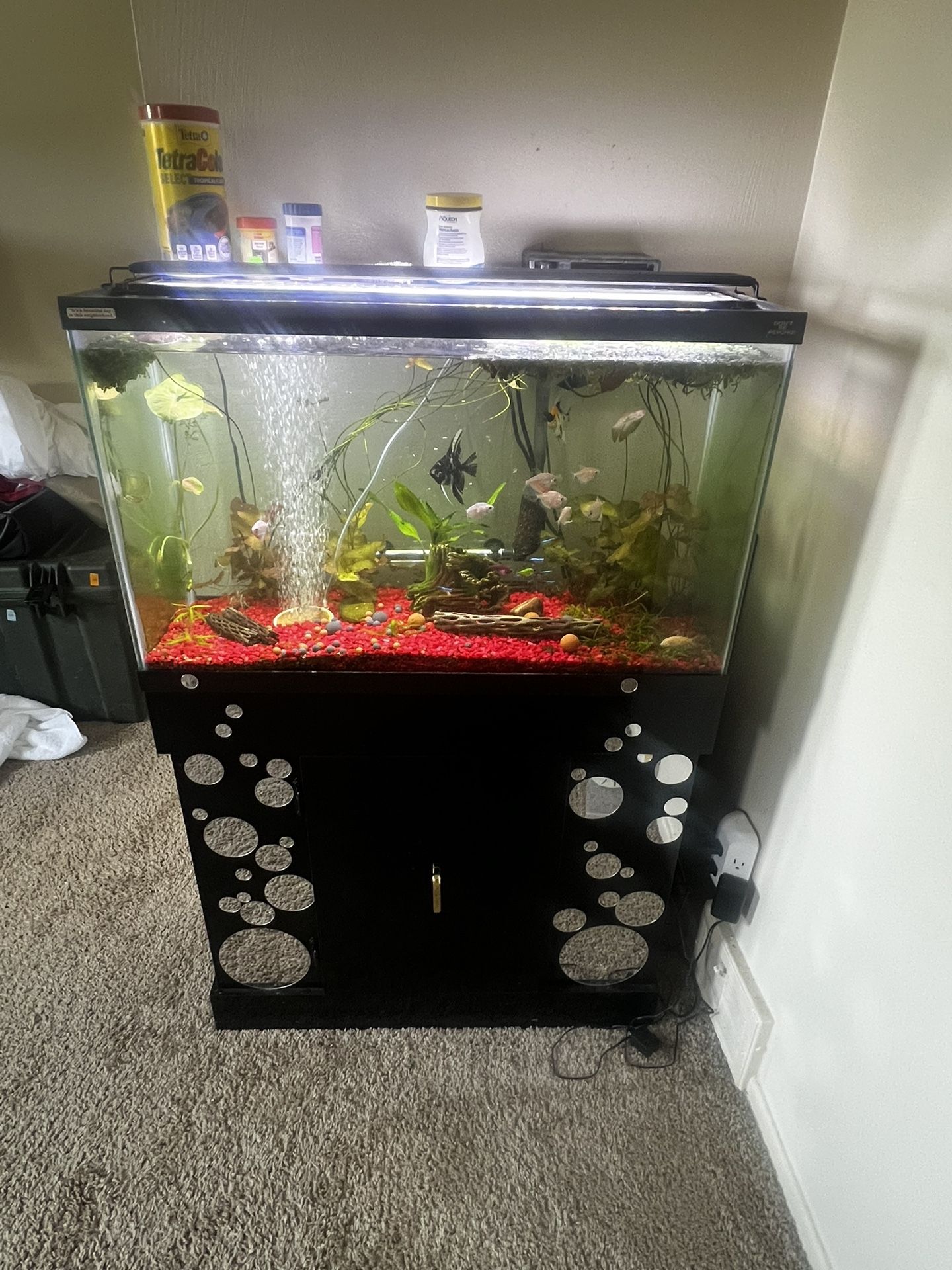 Aquarium and Stand for Sale – Full Setup!