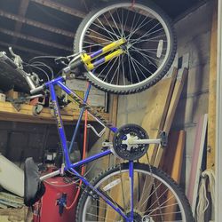 Denali Mountain Bike