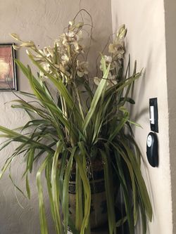 Vendo plantas artificiales
