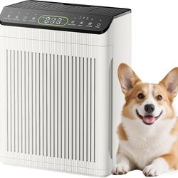 Brand New in box Large Room Air Purifier with Washable Pre-Filter – Covers Up to 2200 Sq. Ft.