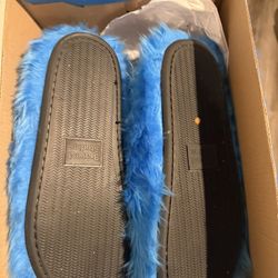 Bravest Slides
