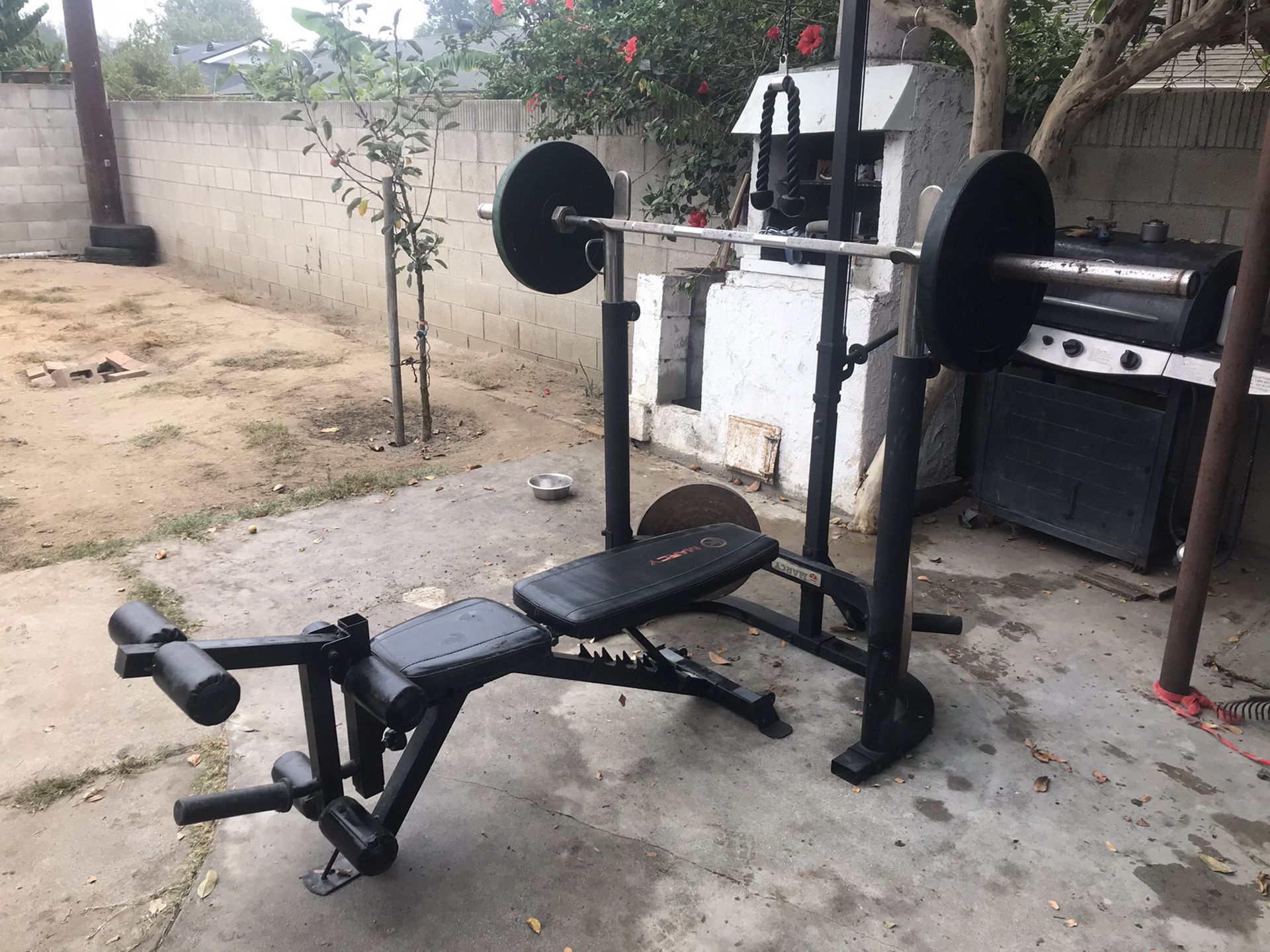 Bench Press with 45lb Olympic Weight Bar and Weights