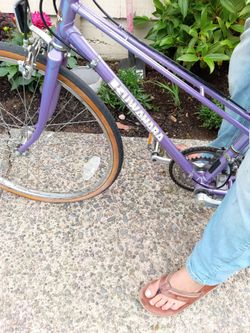 Princess bike 10 speed