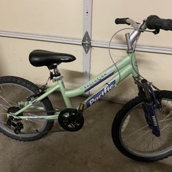 Pacific Evolution 20” Bike