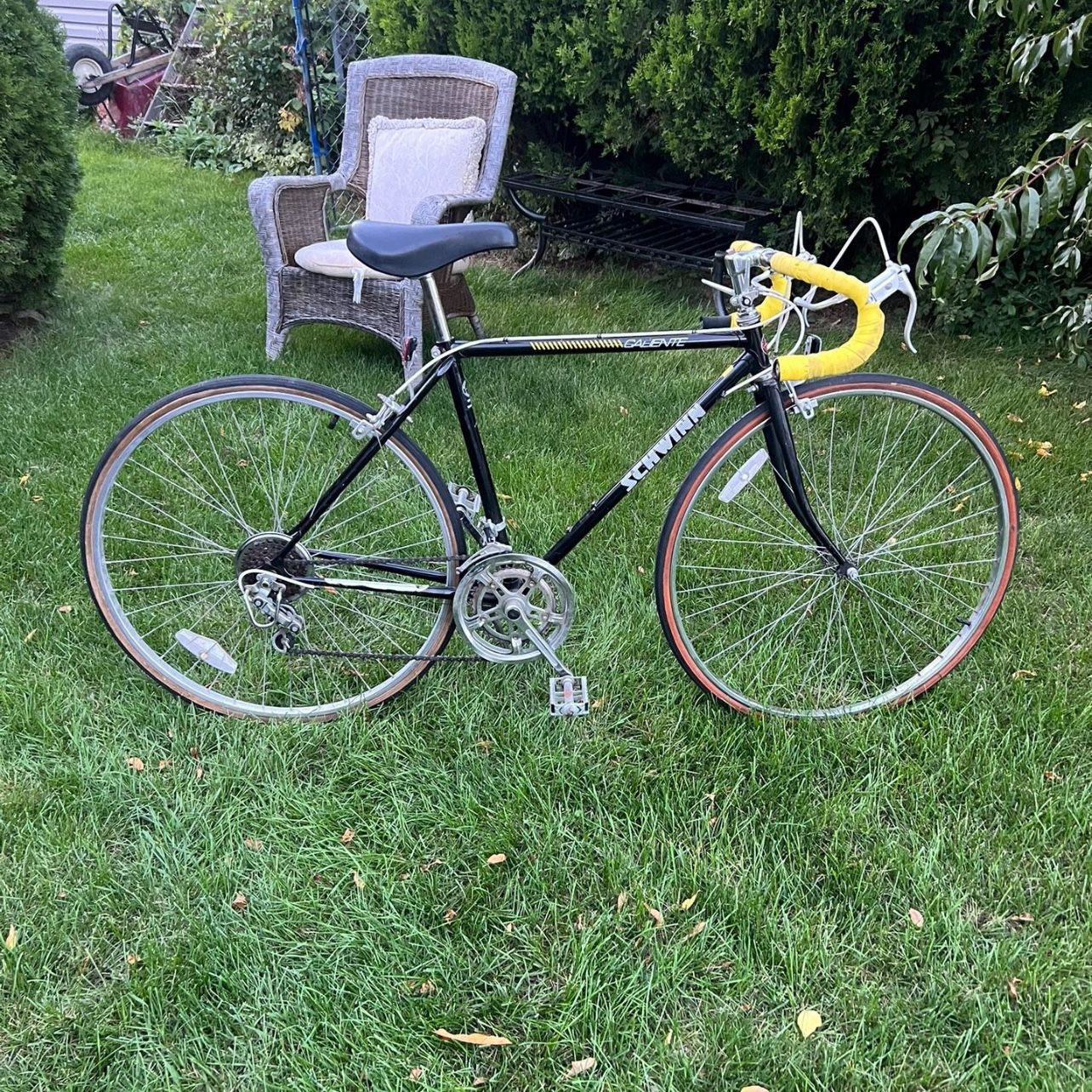 schwinn caliente bicycle Pink Pearl City Bike for Procuring Baguettes and Stin  Coco's Variety Found Schwinn Caliente in Garage,