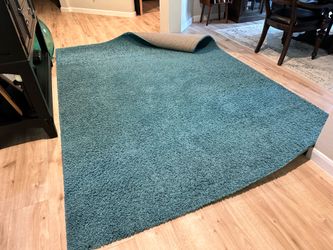 Big Rug 8’ x 10’.