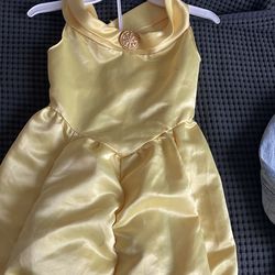 Beauty And The Beast Costume