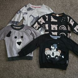 Bundle of 4 Toddler Boys Long Sleeve Sweatshirts / Pullovers Size 2T–3T