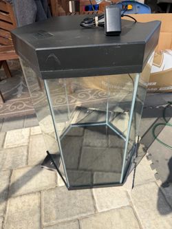 20 Gallon hexagon tank with hood light/filter