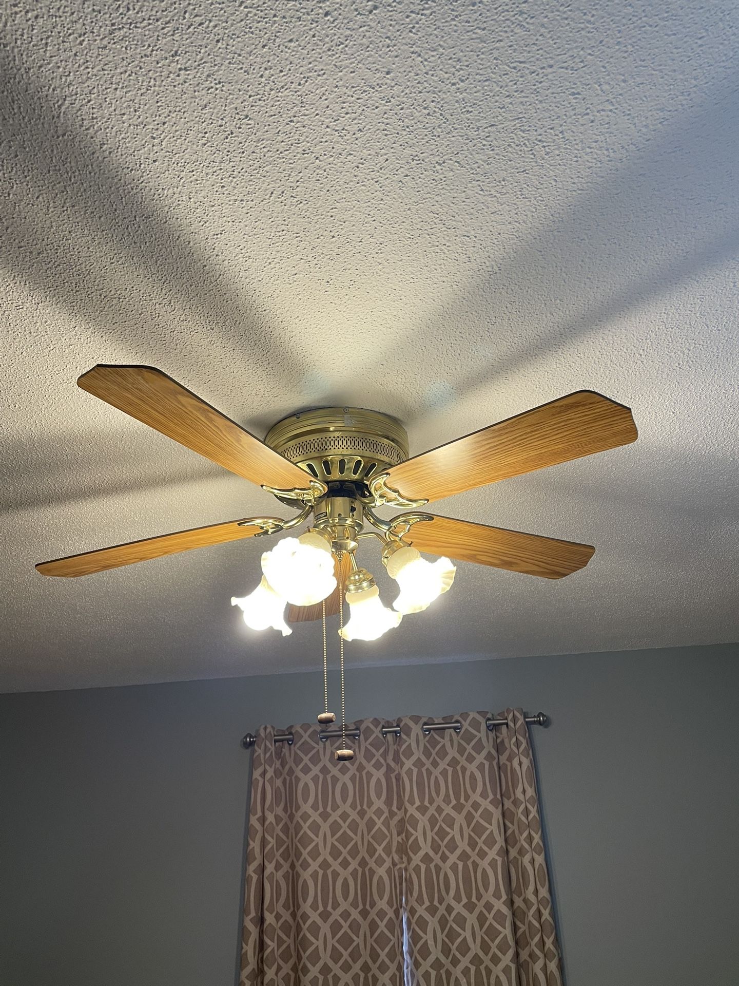 Ceiling Fan with Lights 