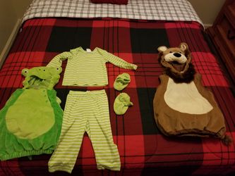 Turtle costume and lion costume