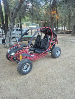 2 seater buggy