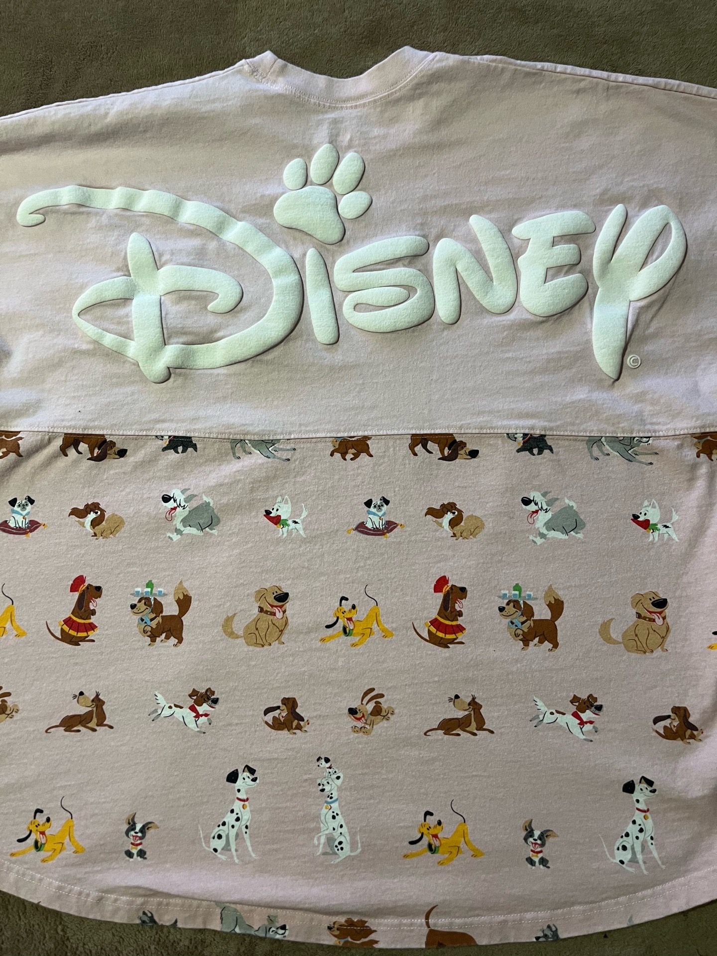 Disney Dogs Spirit Jersey