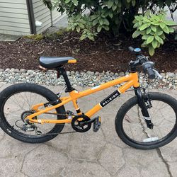Kids 2019 Raleigh Rowdy 20 Bike