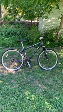 Bicycle Schwann