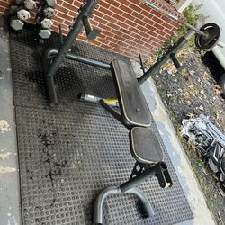 Golds Gym Weight Bench/ Squat Rack 