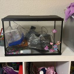 Fish Tank W Accessories
