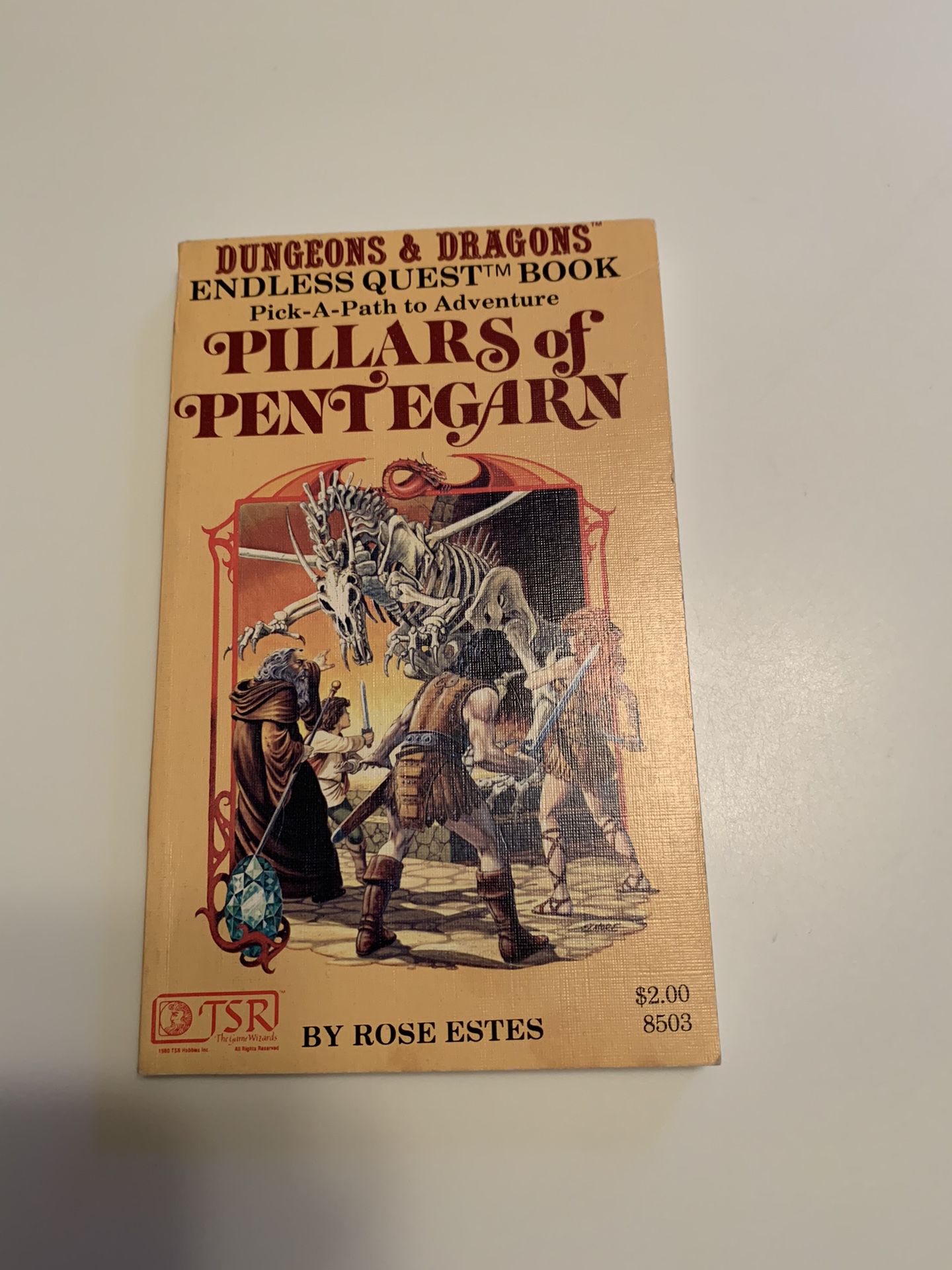 Dungeons & Dragons ENDLESS QUEST BOOK “PILLARS OF PENTEGARN” #8503 from 1980- NEAR MINT