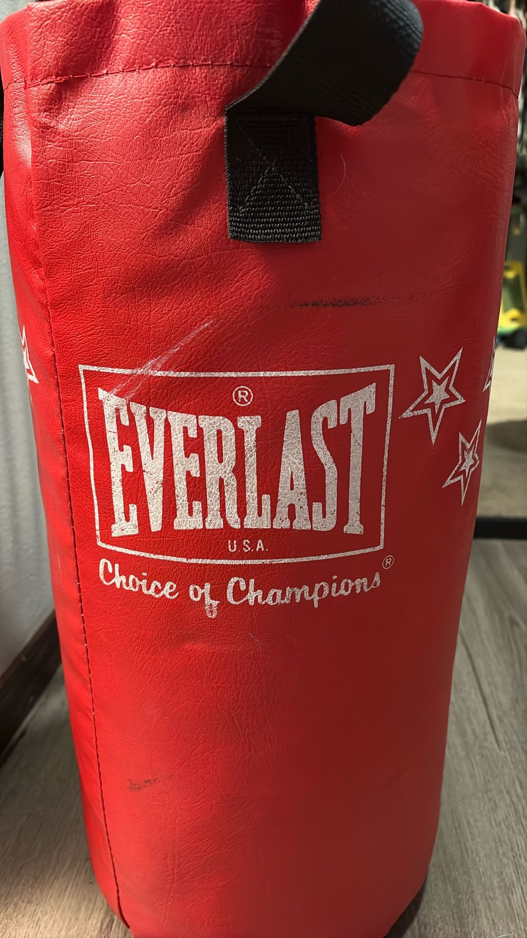 Everlast 25lb Punching Bag